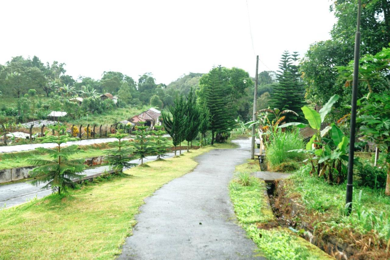 Tunjung Sari Villa Bedugul Bedugul  Extérieur photo