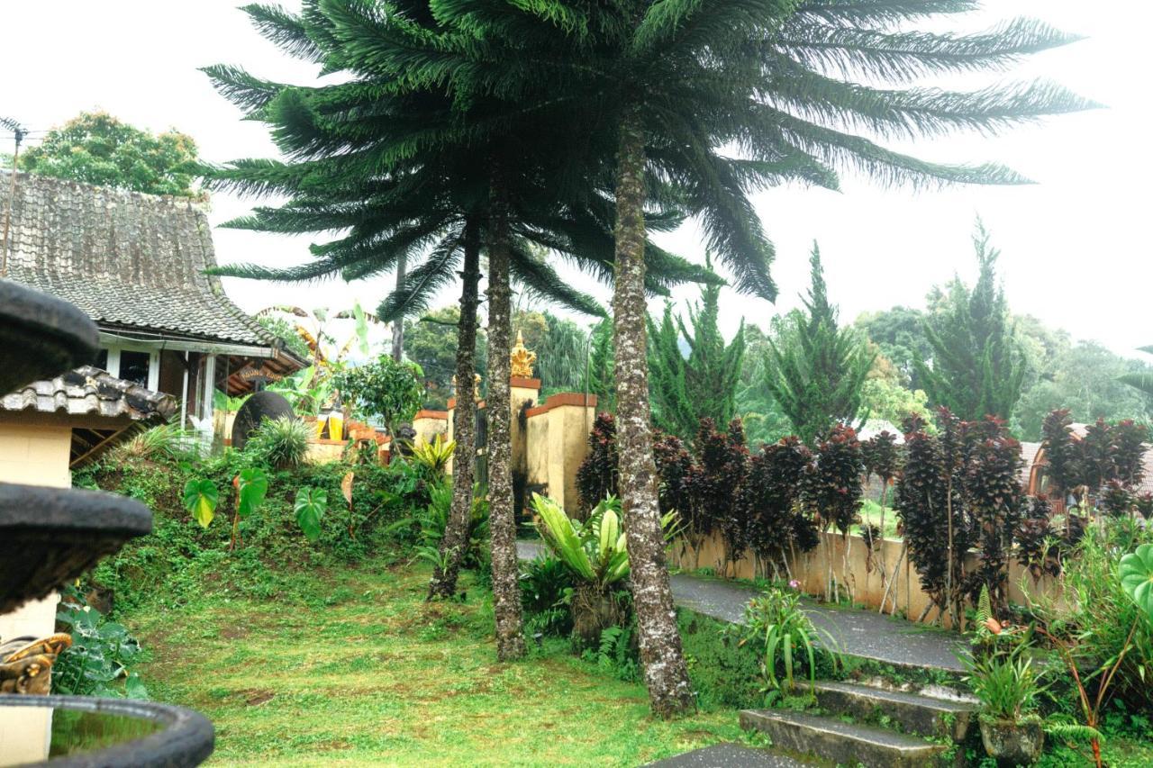 Tunjung Sari Villa Bedugul Bedugul  Extérieur photo